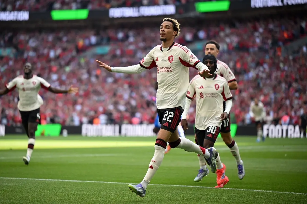 这是弗林蓬 这是弗林蓬