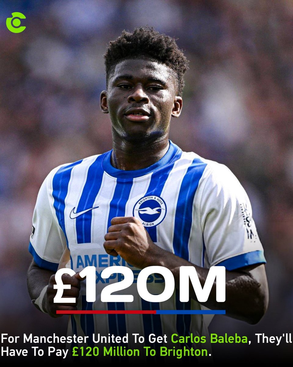 意赅, 在继续, 加上一些浮 意赅, 在继续, 加上一些浮