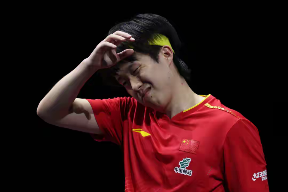 的整体表现 的整体表现