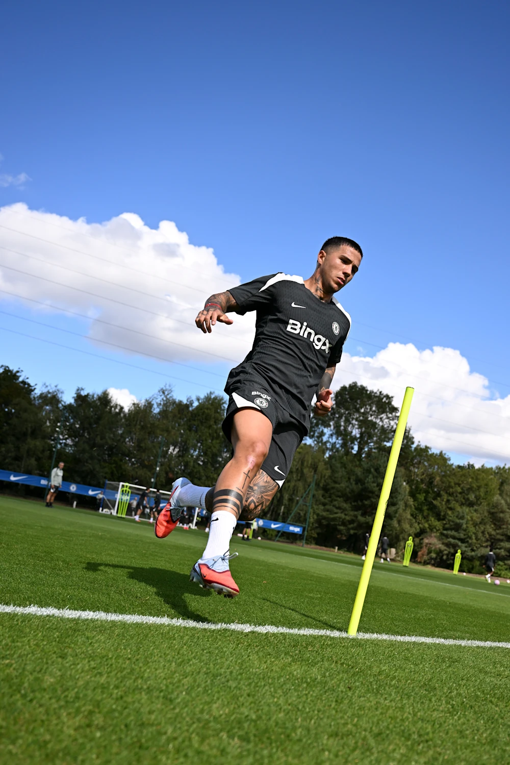 阿达比奥约, img 阿达比奥约, img