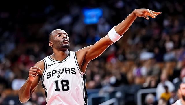 条款的合同 条款的合同