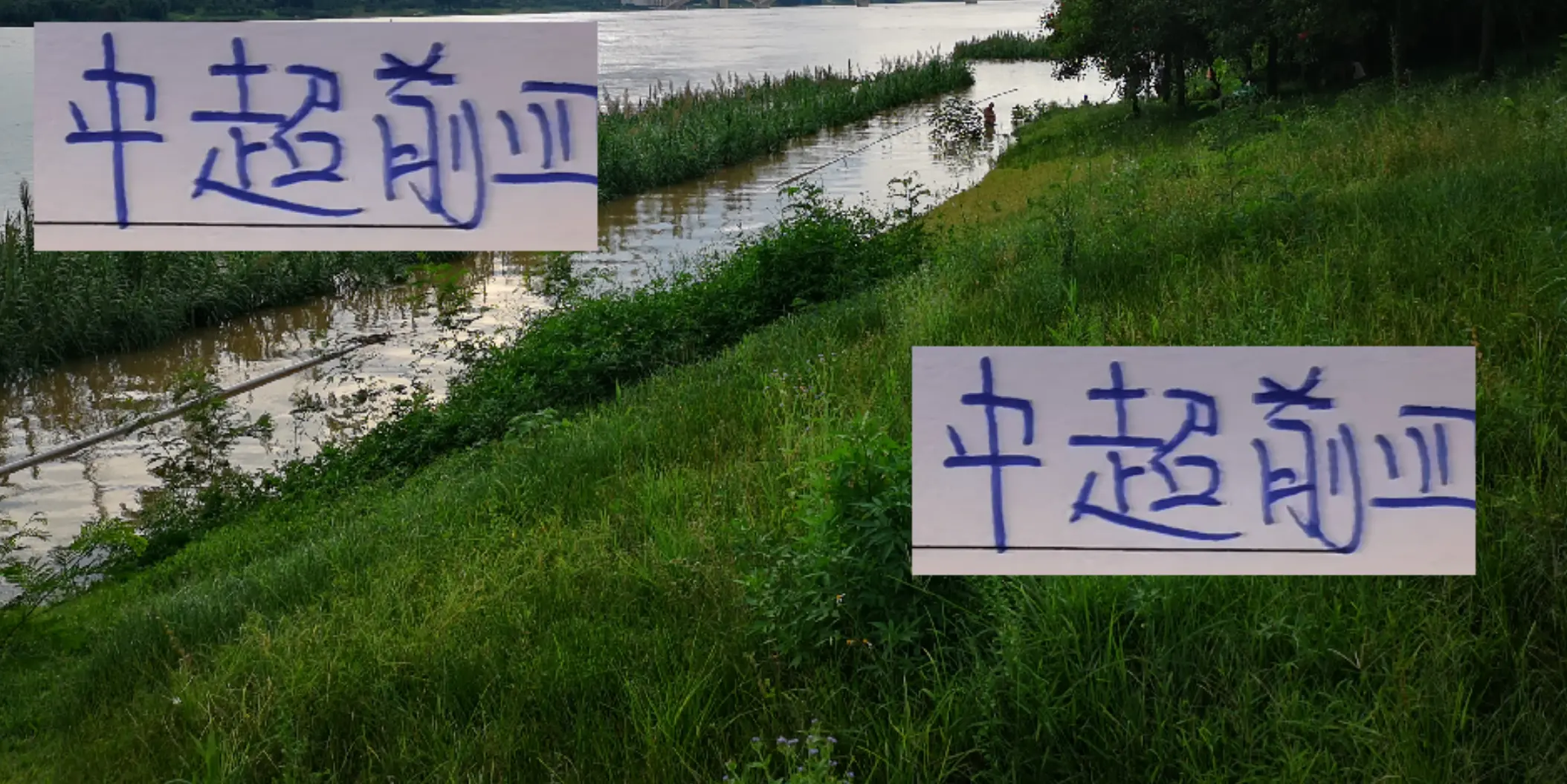 因为他们都 因为他们都